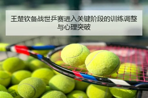王楚钦备战世乒赛进入关键阶段的训练调整与心理突破