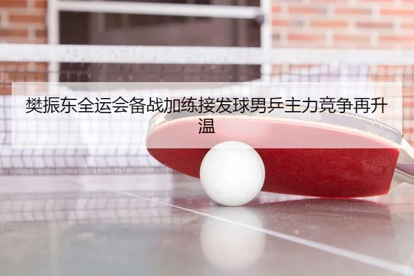 樊振东全运会备战加练接发球男乒主力竞争再升温